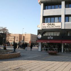 Oral Diş 1