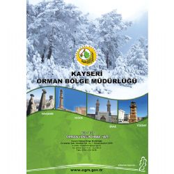 Orman