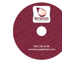 Beyaz Gül